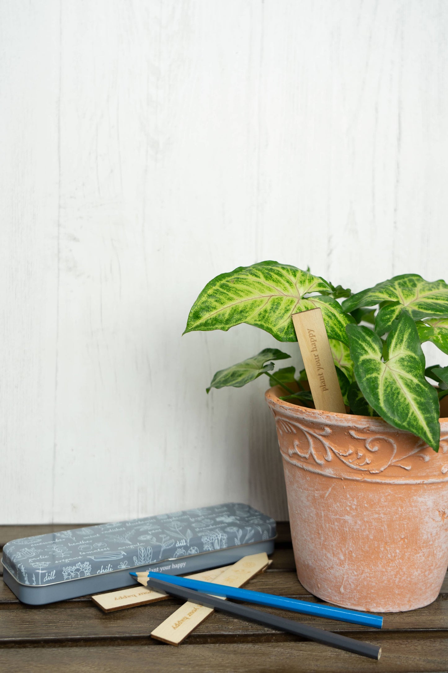 DM Merchandising - Seed & Sprout Gardening Labeling Set