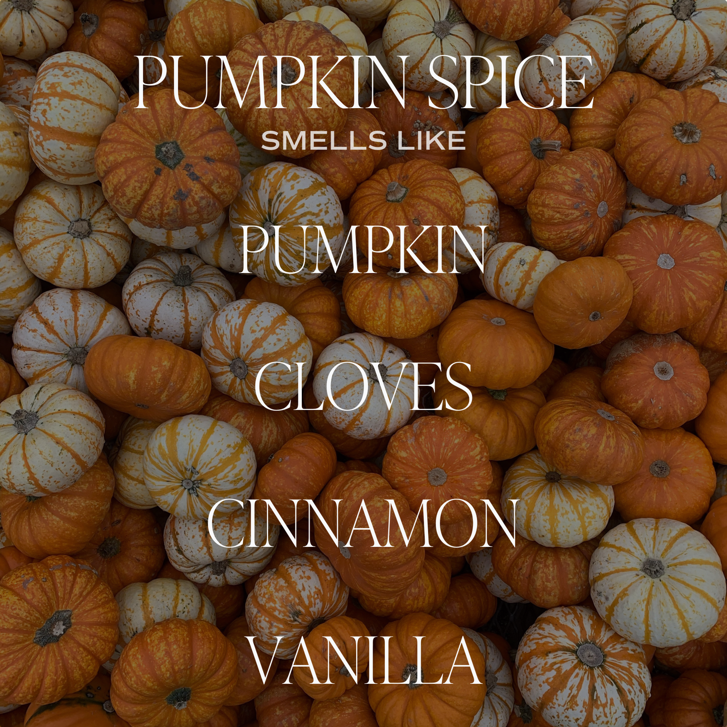 Sweet Water Decor - Pumpkin Spice Amber Reed Diffuser - Gifts & Home Decor