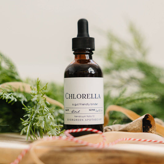 Evergreen Apothecary - Chlorella, gut friendly binder - tincture
