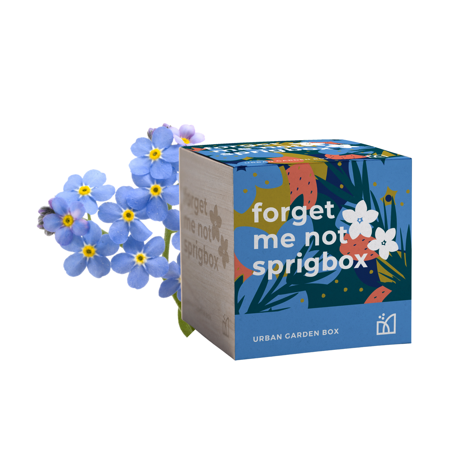 Sprigbox - Grow Kits | Bestseller POS Display | Grow Plants from Seed