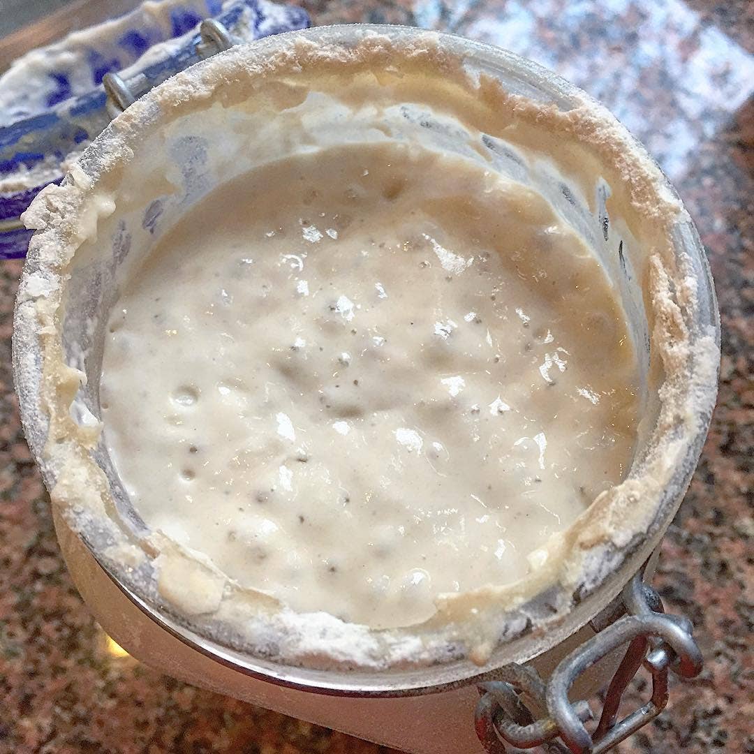 Breadtopia - Sourdough Starter