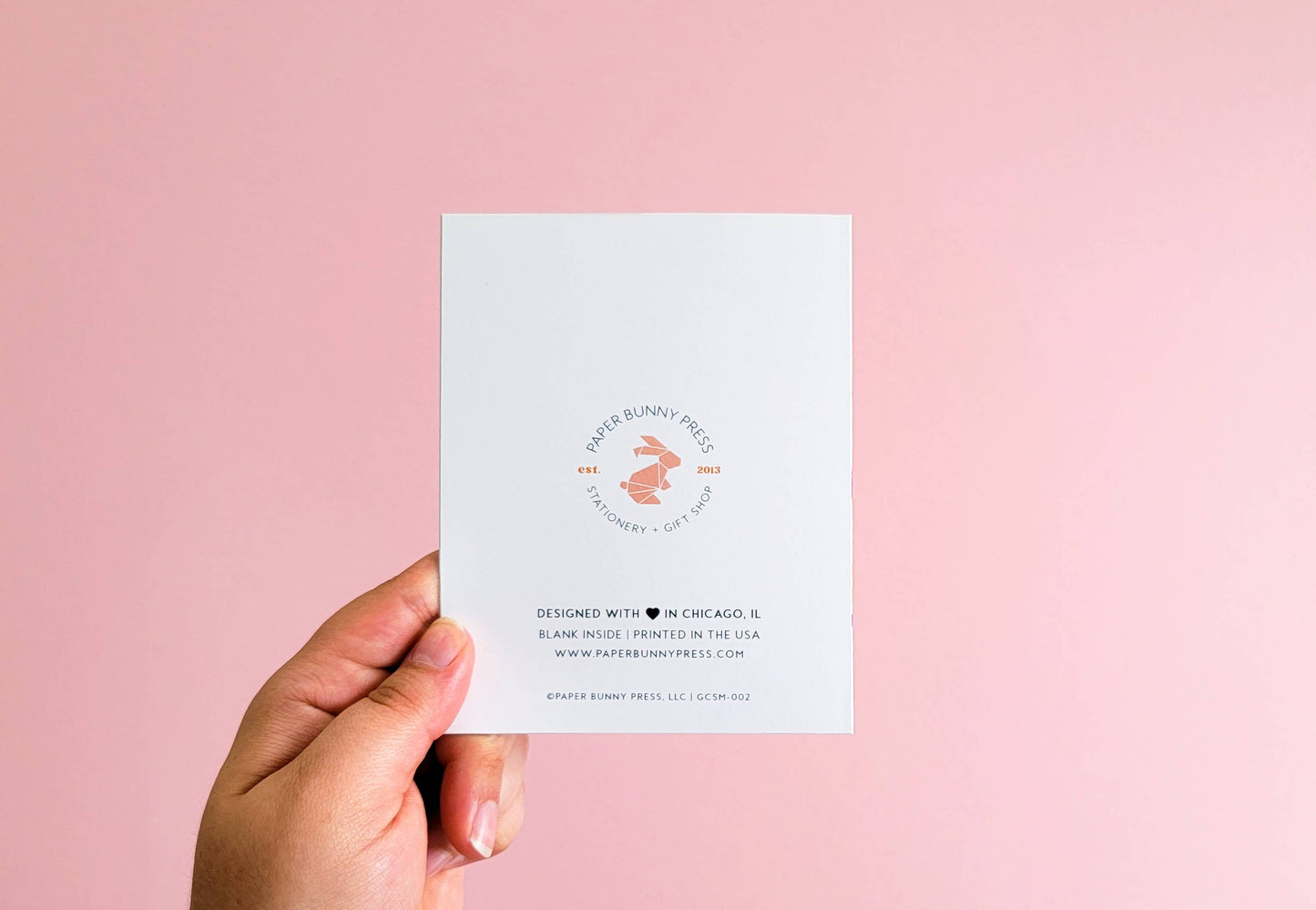 Paper Bunny Press - Funny Birthday Balloons Greeting Card