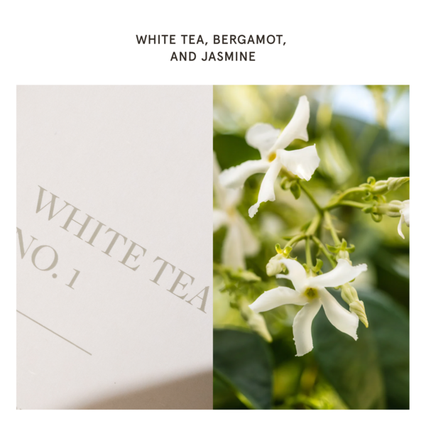 Pura - White Tea No. 1 - Pura Home Diffuser Scent Refill