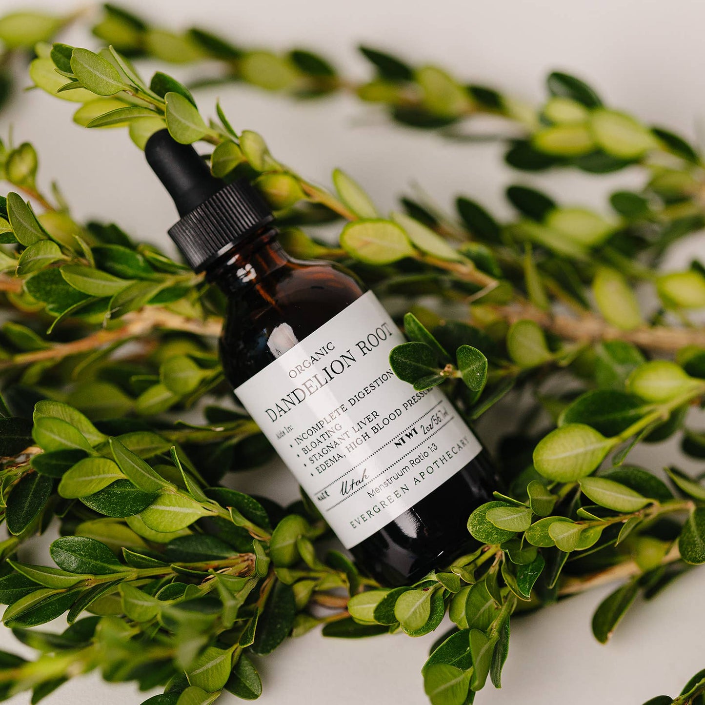 Evergreen Apothecary - Dandelion Root Tincture, 2oz, Alcohol Free