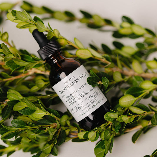 Evergreen Apothecary - Dandelion Root Tincture, 2oz, Alcohol Free
