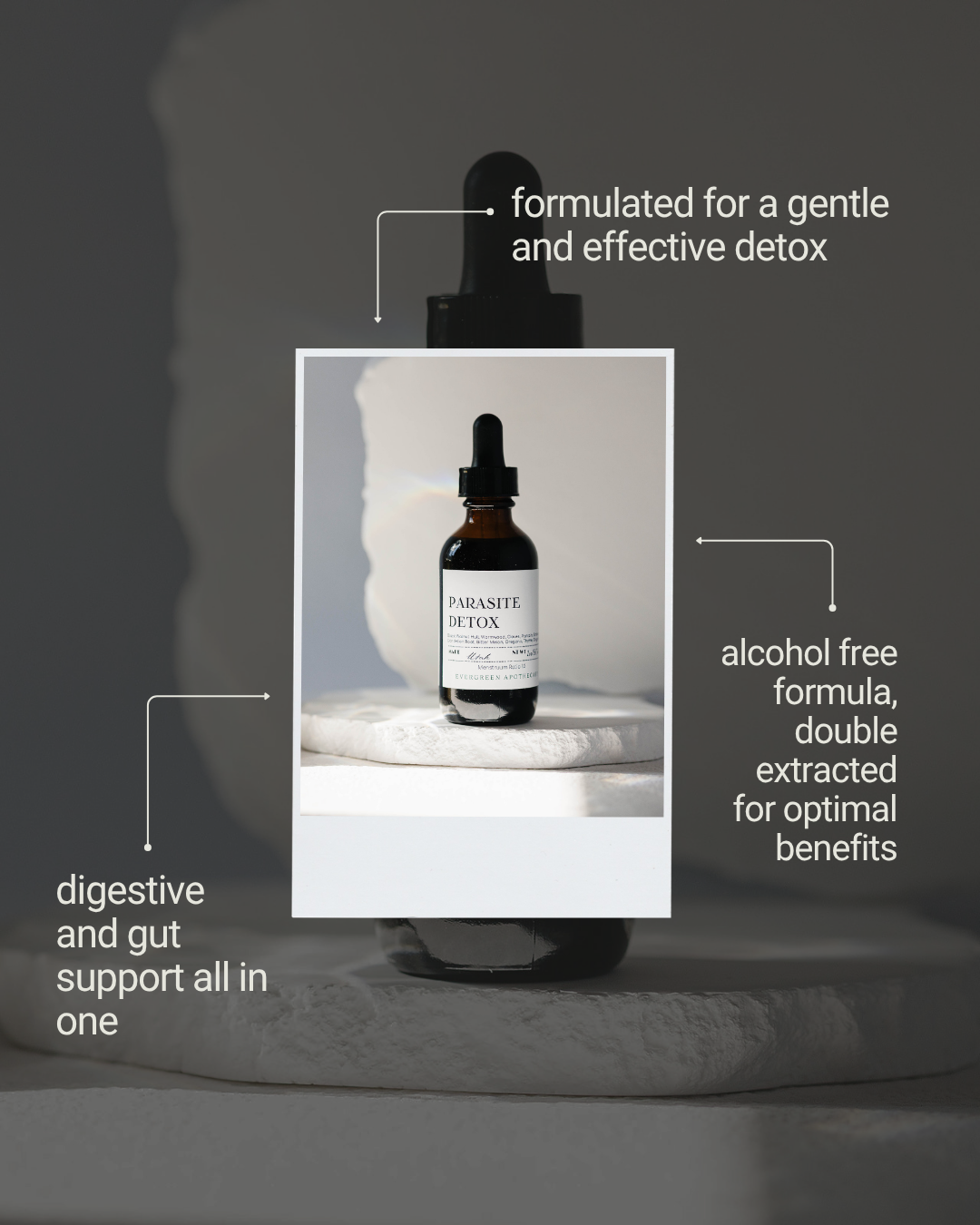 Evergreen Apothecary - Parasite Detox, Herbal Tincture