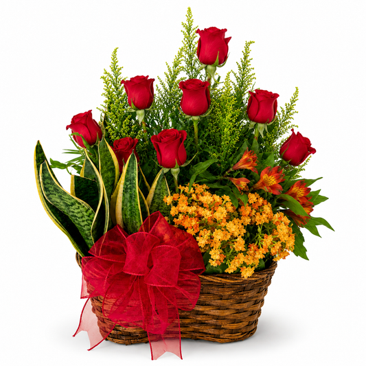 European Planter-Next Day Delivery