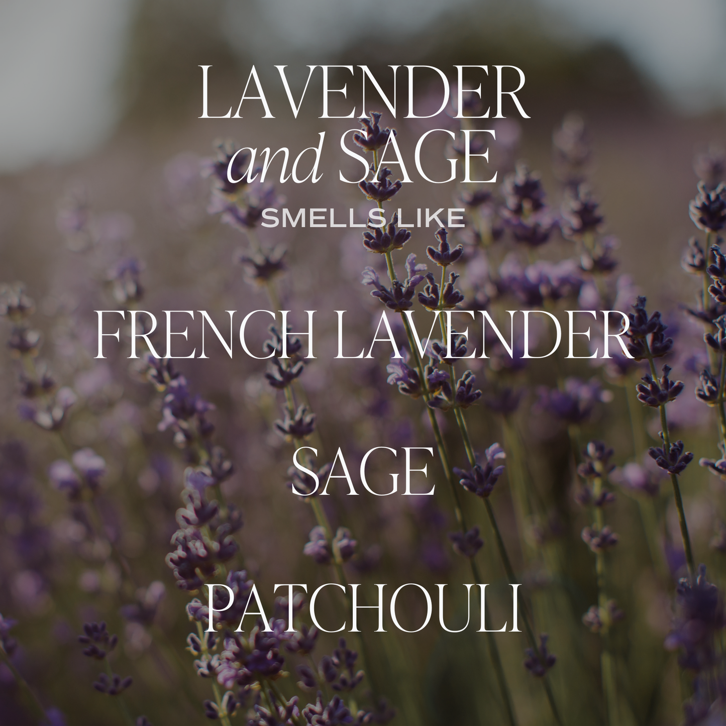Sweet Water Decor - Lavender and Sage Reed Diffuser - Gifts & Home Decor