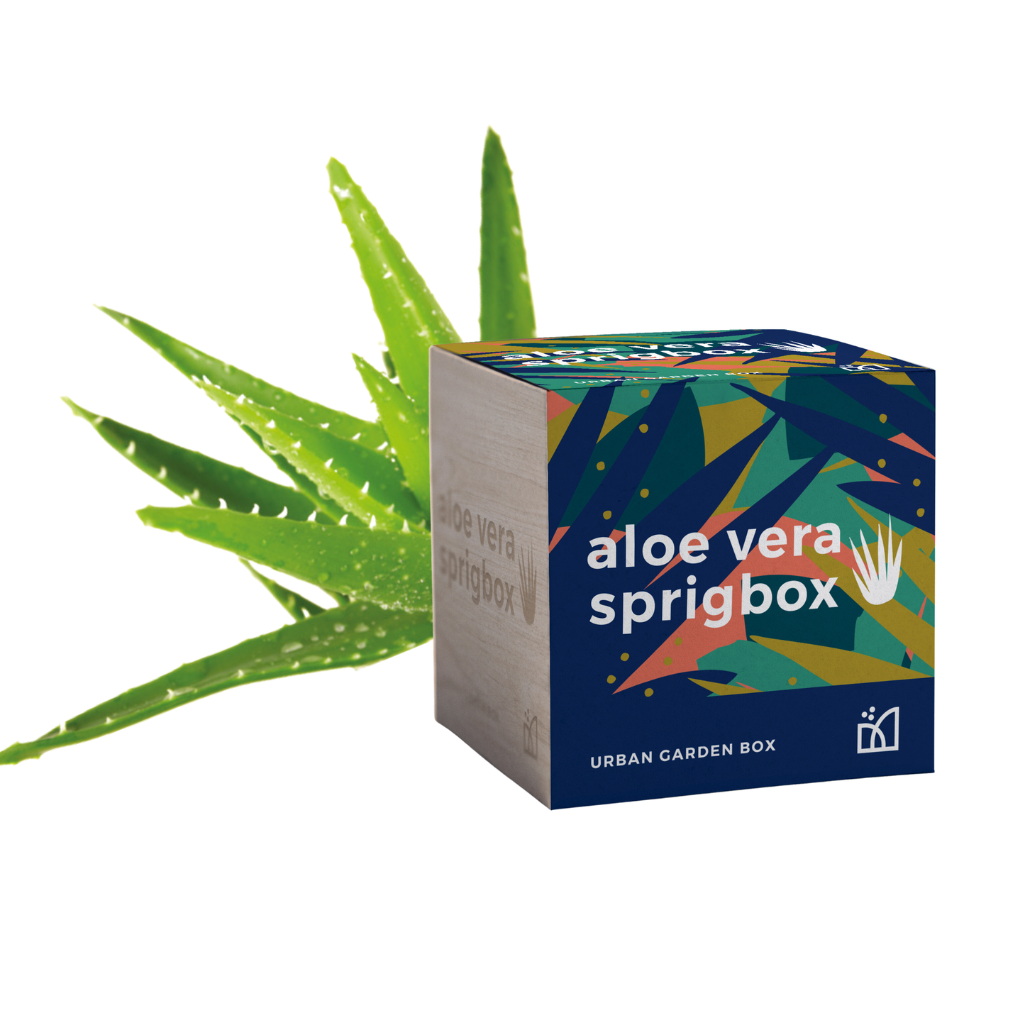 Sprigbox - Grow Kits | Bestseller POS Display | Grow Plants from Seed