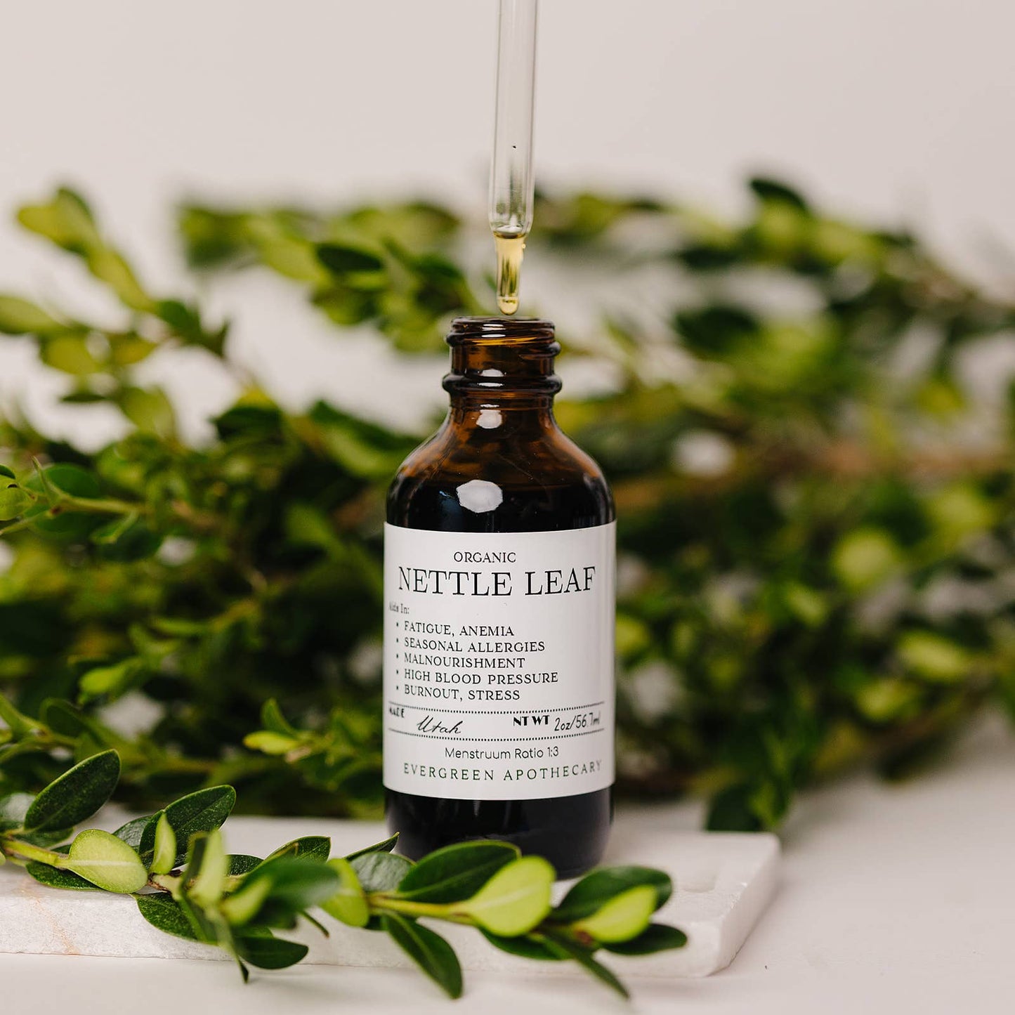 Evergreen Apothecary - Nettle Leaf Tincture