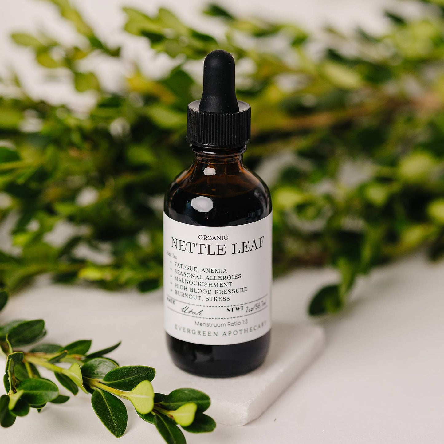 Evergreen Apothecary - Nettle Leaf Tincture