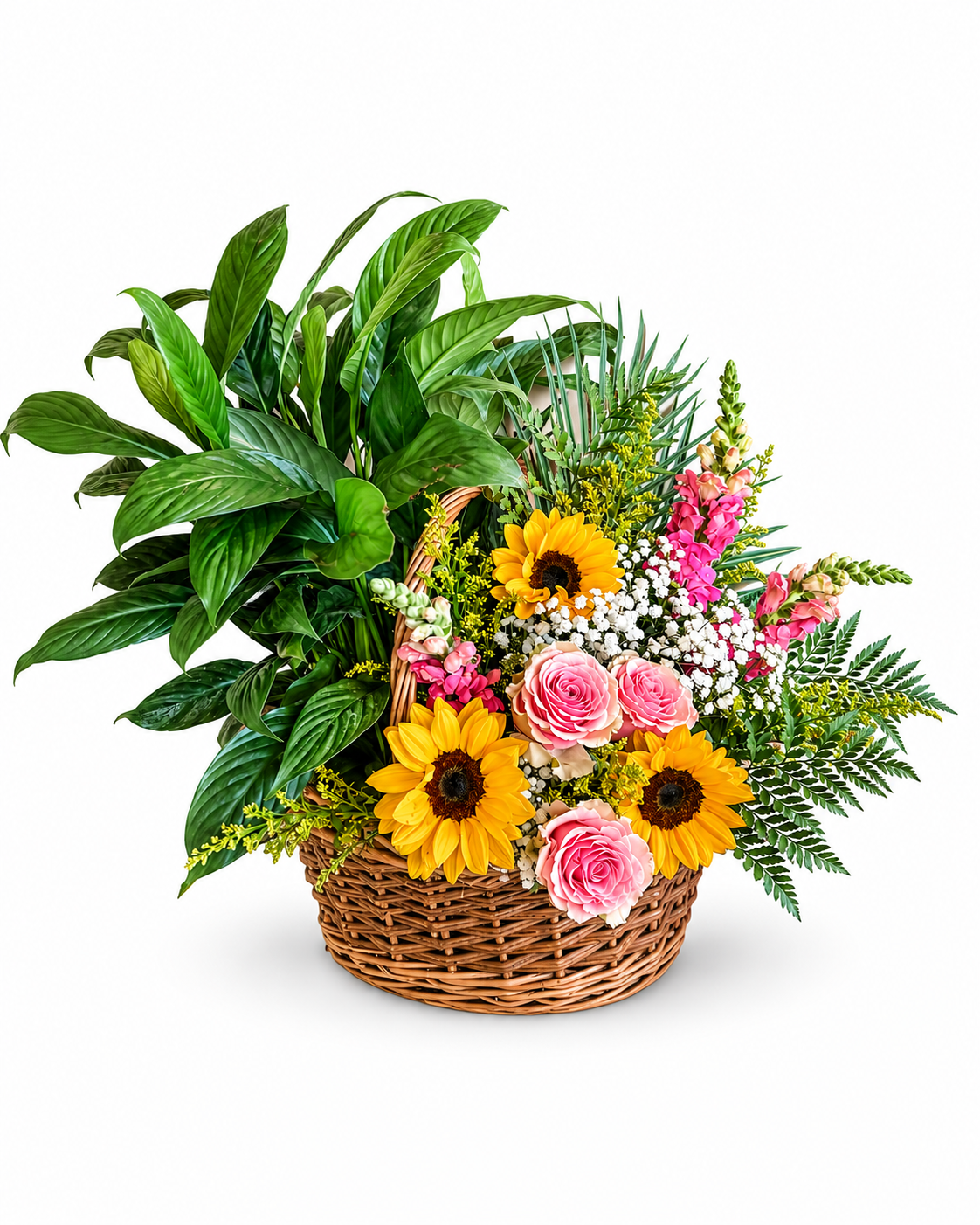 European Planter-Next Day Delivery