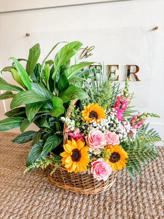 European Planter