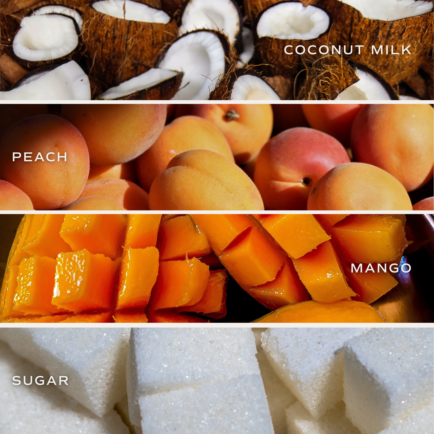 Sweet Water Decor - Mango and Coconut Reed Diffuser - Summer Decor & Gifts