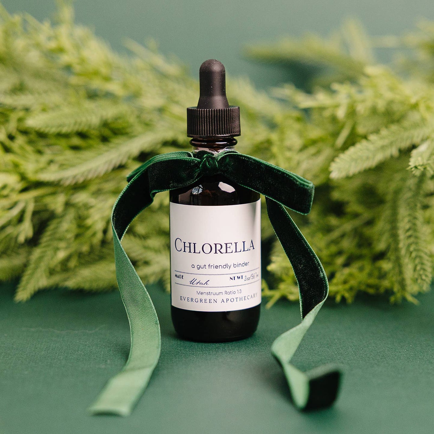 Evergreen Apothecary - Chlorella, gut friendly binder - tincture
