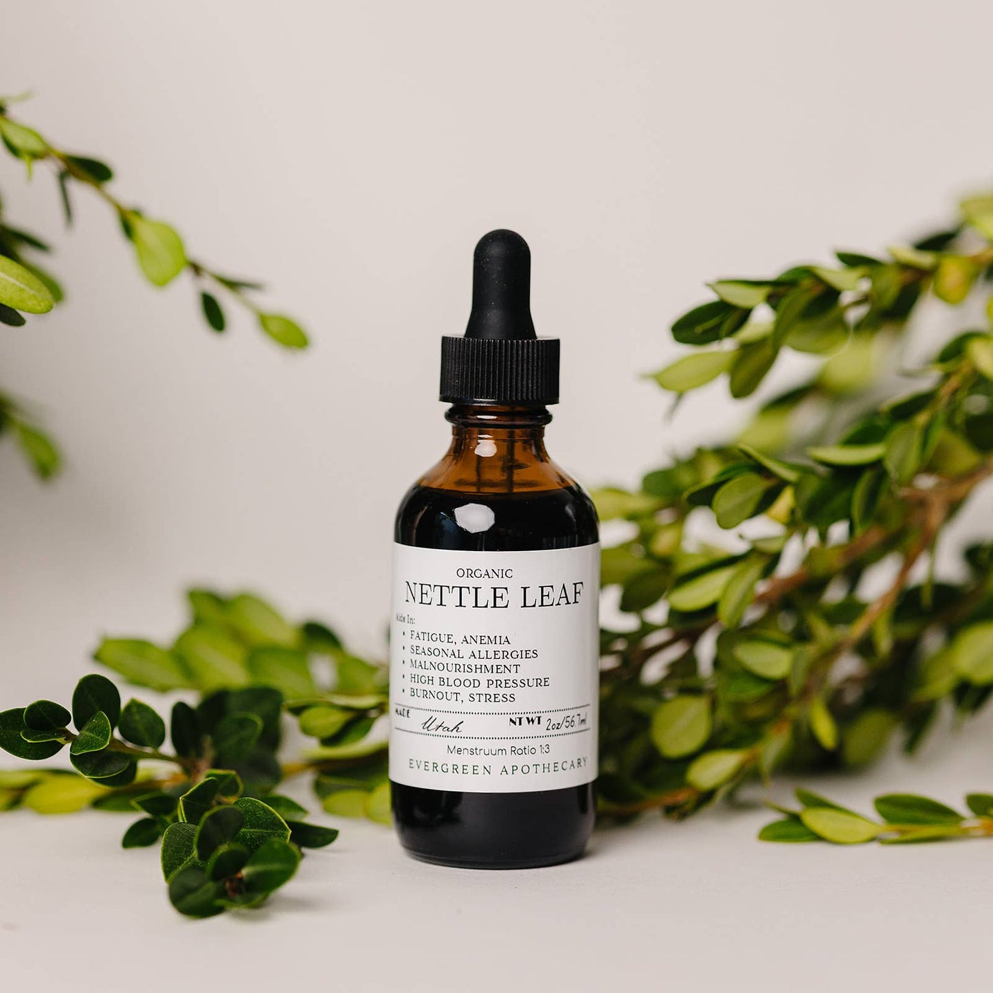 Evergreen Apothecary - Nettle Leaf Tincture