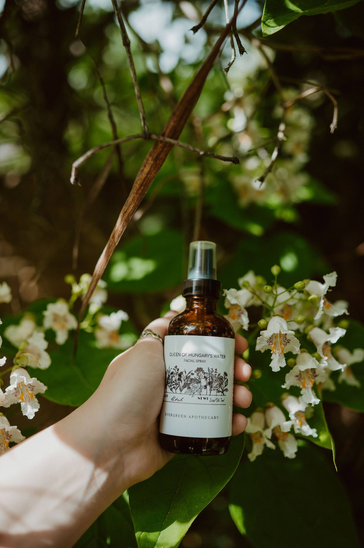Evergreen Apothecary - Queen Of Hungarys Water, Herbal Face & Body Spray