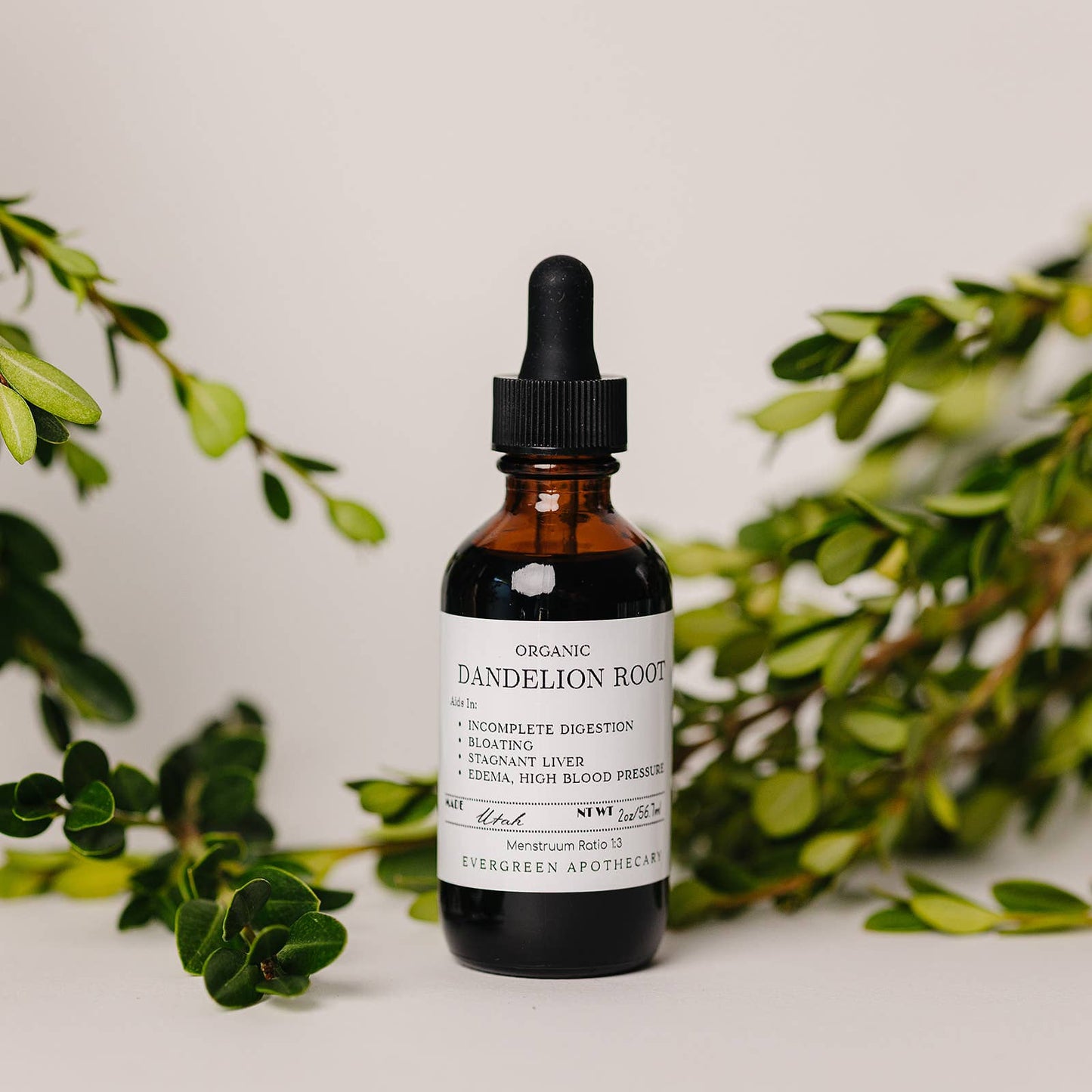 Evergreen Apothecary - Dandelion Root Tincture, 2oz, Alcohol Free