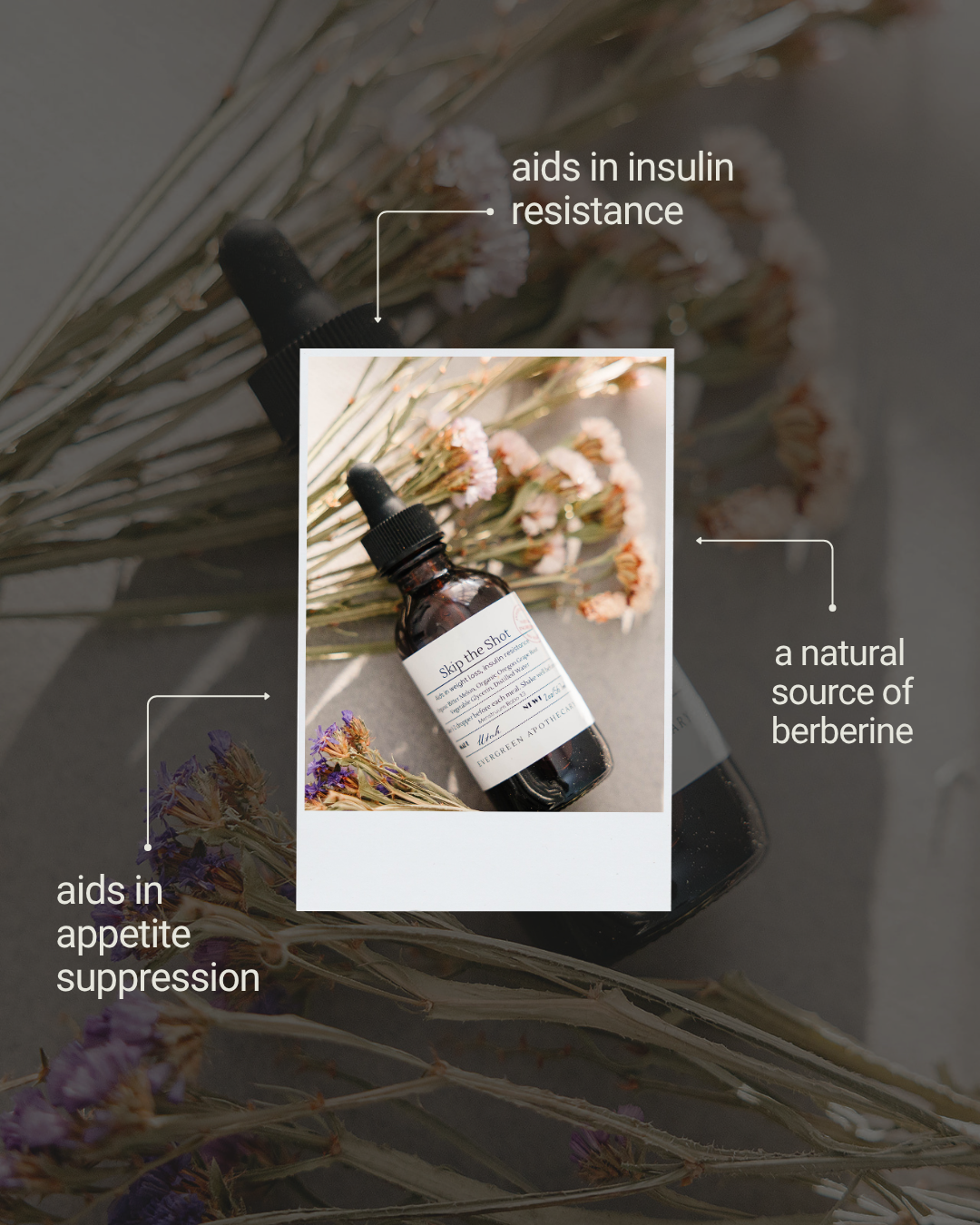 Evergreen Apothecary - Skip the Shot (with Berberine) Herbal Tincture