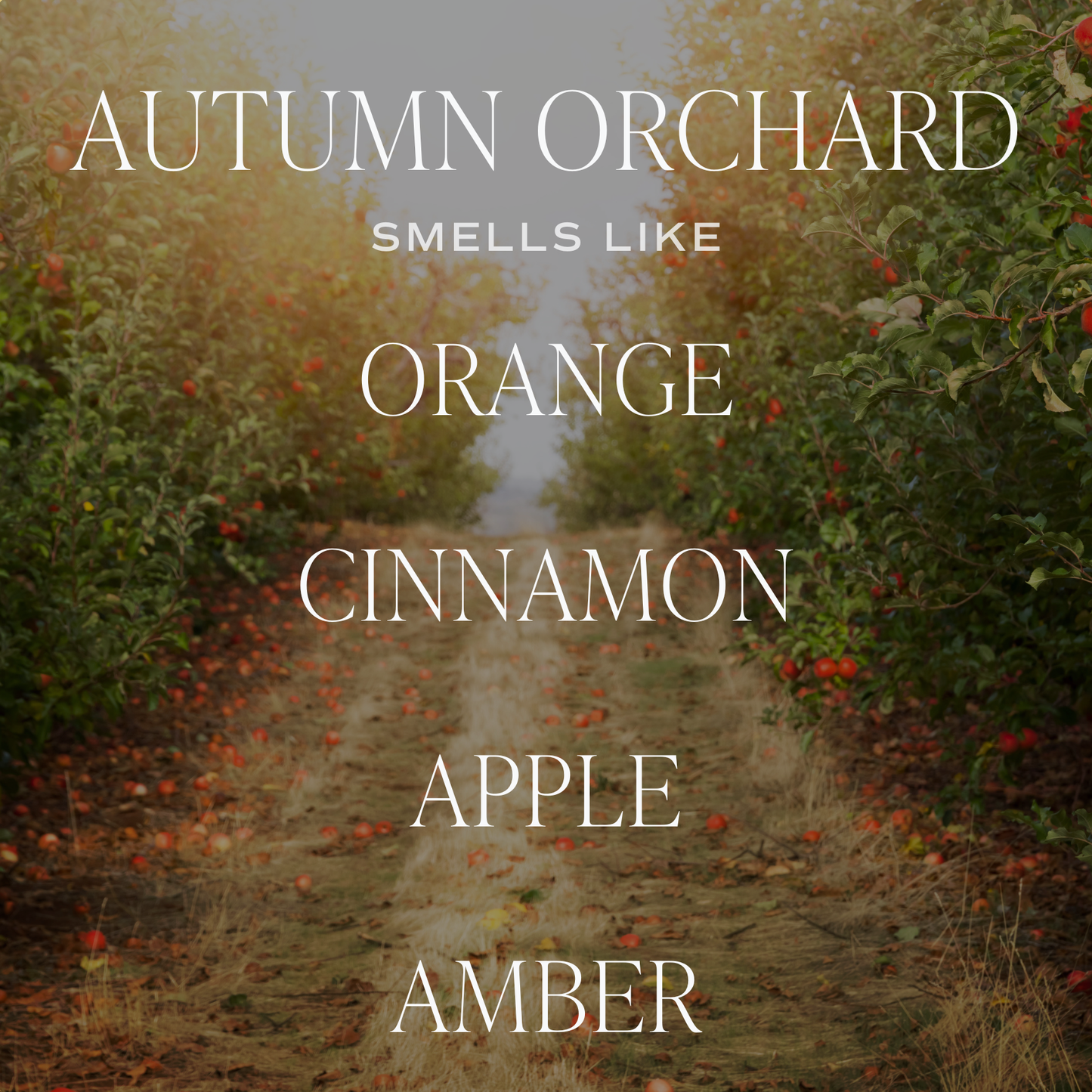 Sweet Water Decor - *NEW* Autumn Orchard 9 oz Soy Candle - Fall Home Decor, Gift