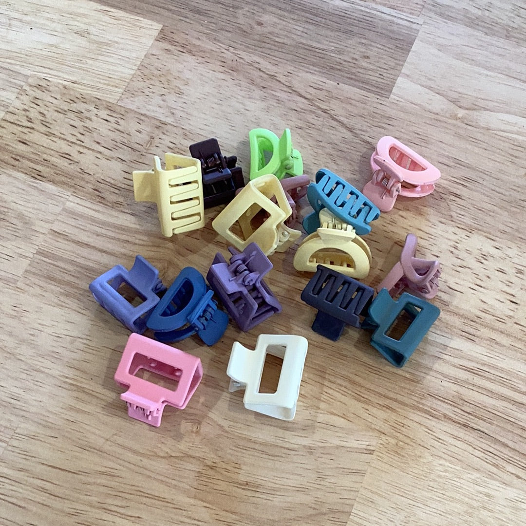 Micro Clips – The Carter Collective
