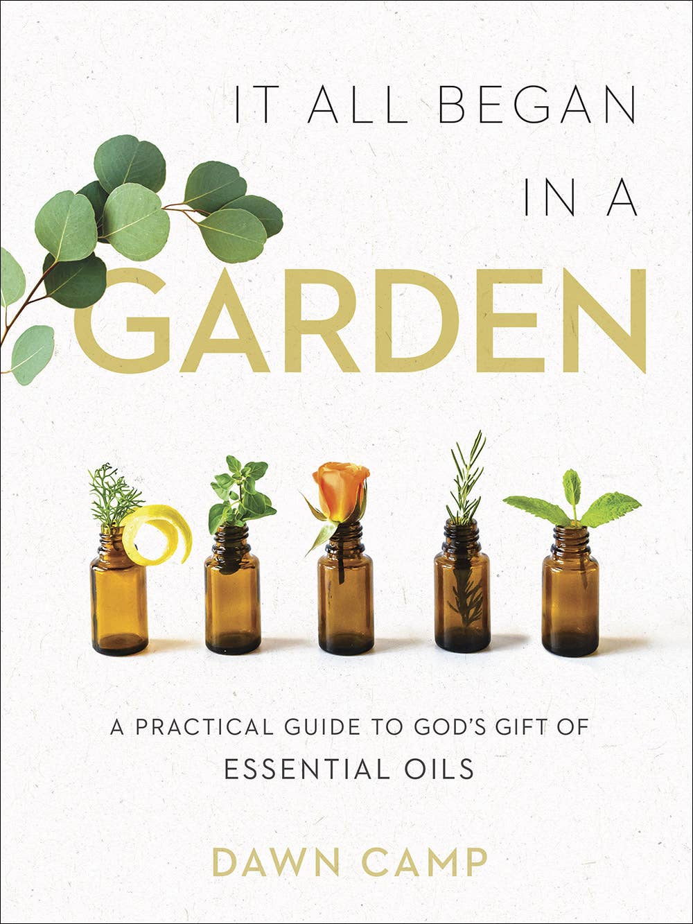 Harvest House Publishers - It All Began in a Garden, Book - Wellness
