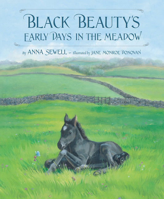 Sleeping Bear Press - Black Beauty's Early Days in the Meadow picture book